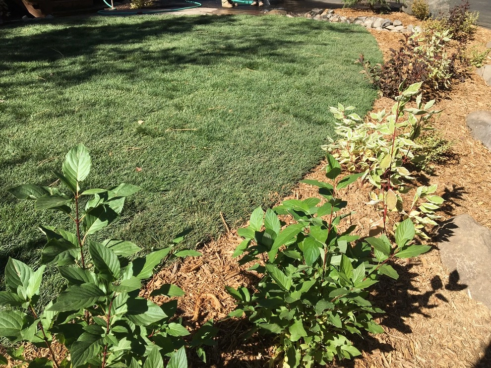Landscape Construction Projects by Green Envy, Inc. - Photo 3