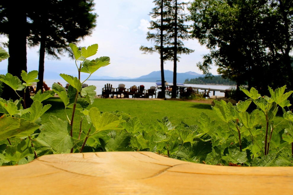 Green Envy, Inc. - Photo 2