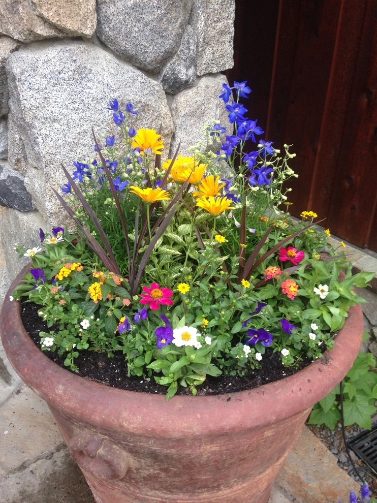 Flower Pots and Planters by Green Envy, Inc. - Photo 11