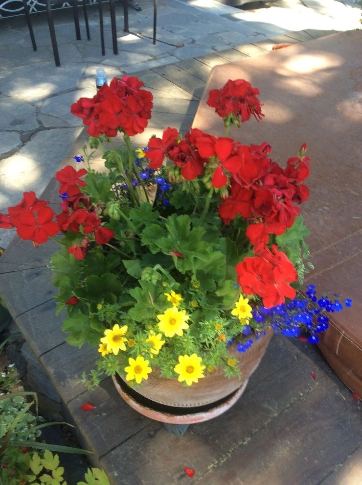 Flower Pots and Planters by Green Envy, Inc. - Photo 20