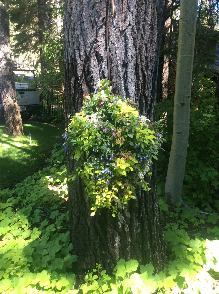 Flower Pots and Planters by Green Envy, Inc. - Photo 10