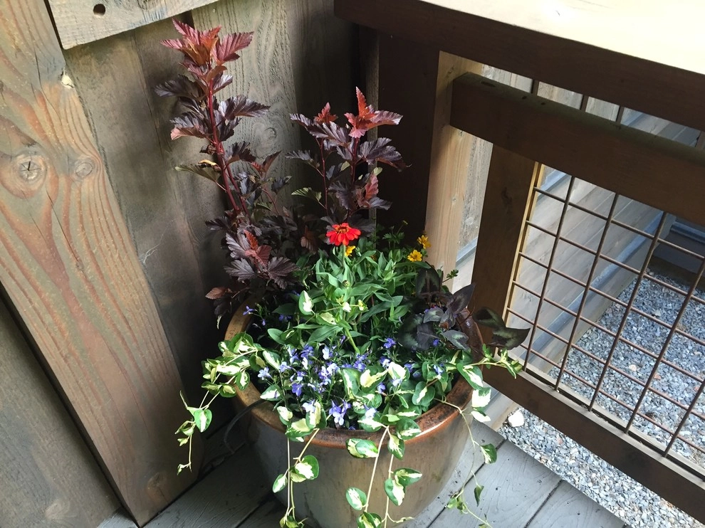 Flower Pots and Planters by Green Envy, Inc. - Photo 5