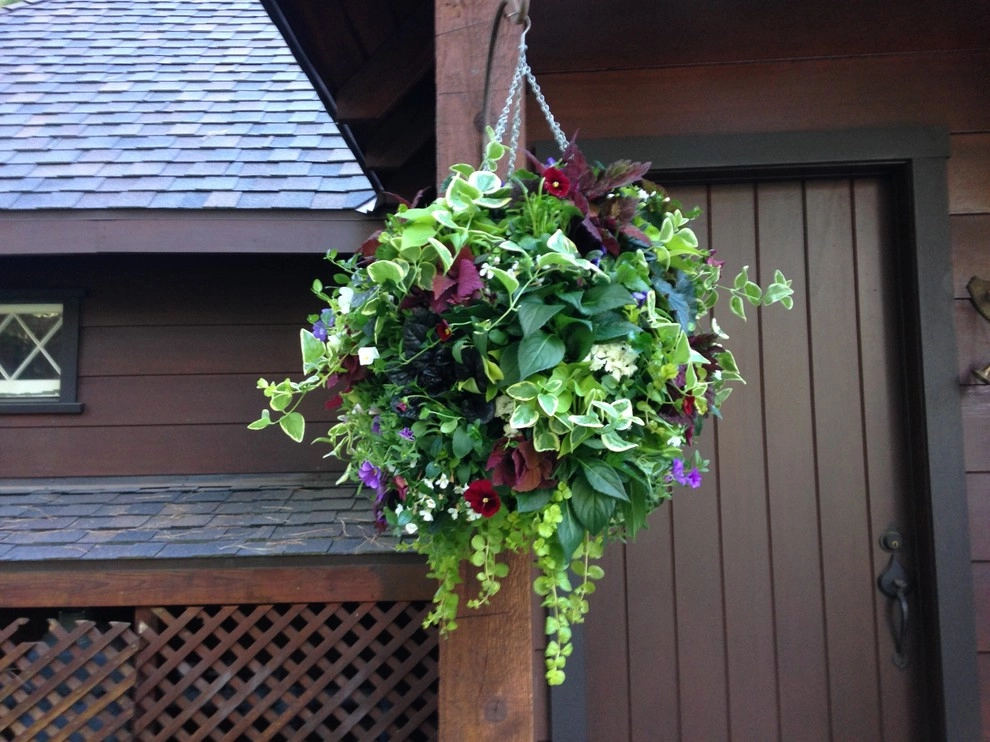 Flower Pots and Planters by Green Envy, Inc. - Photo 13