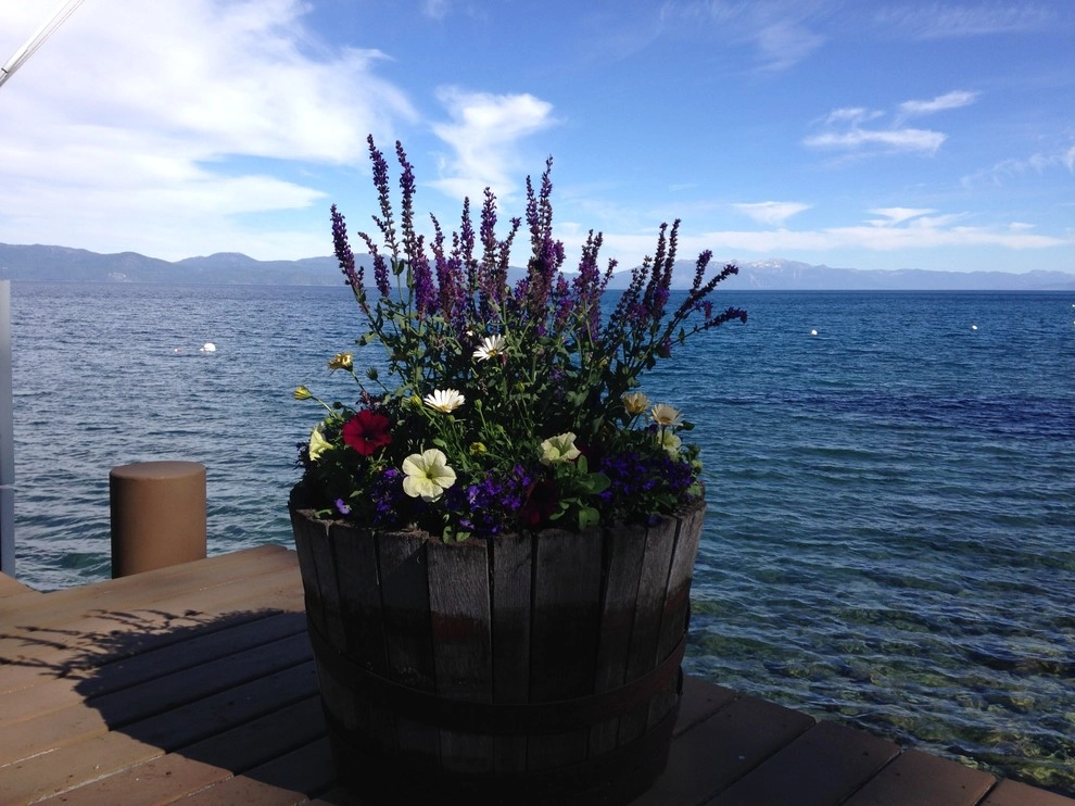 Flower Pots and Planters by Green Envy, Inc. - Photo 2