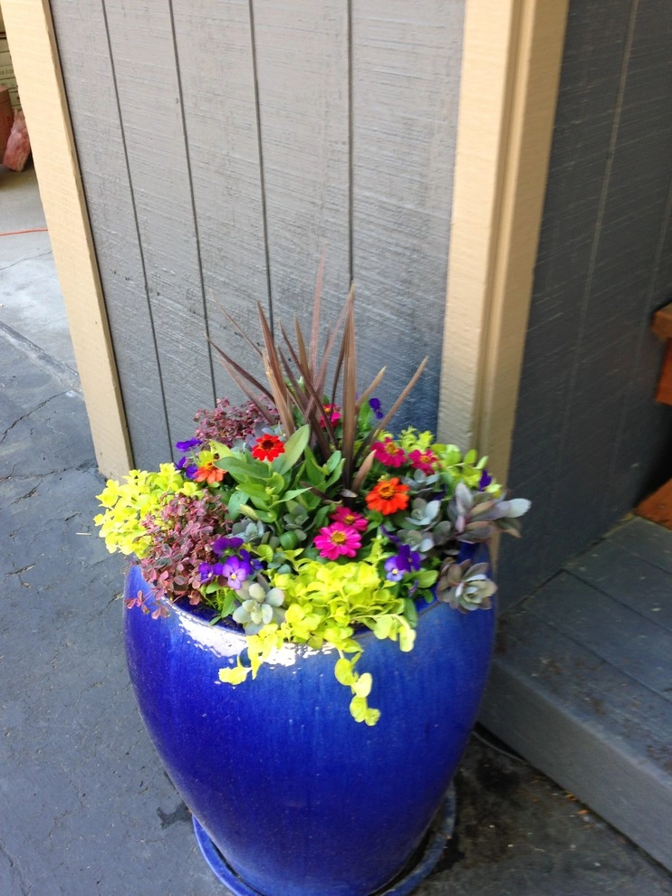 Green Envy, Inc. - Photo 8