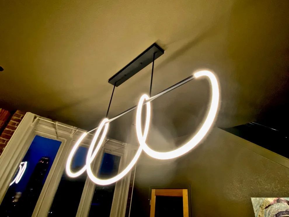 Trade Loft Renovation and Interior Design by Howard Fischer Design - Photo 11