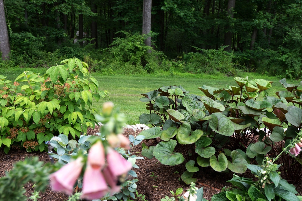 Woodland Oasis by Britney O'Donnell Garden Design - Photo 3