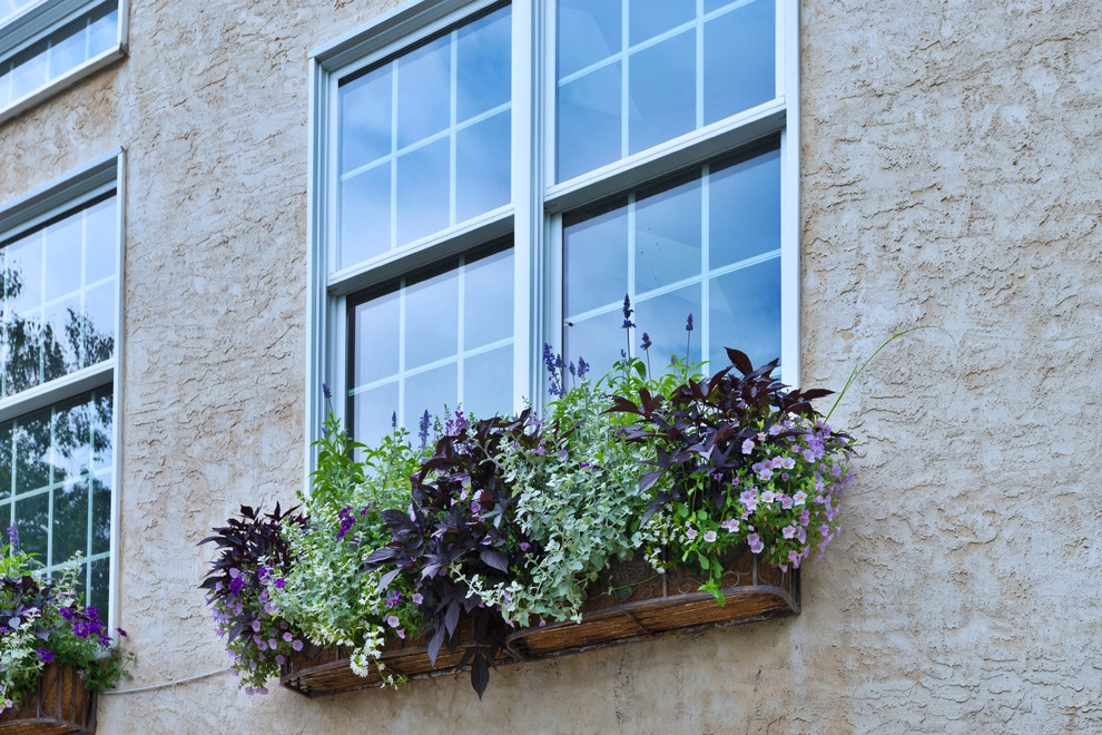 Poolscape and Planters by Britney O'Donnell Garden Design - Photo 34
