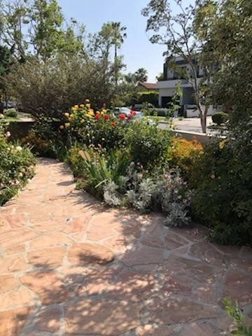 Kopic Project by Green Republic Landscapes Inc. - Photo 4