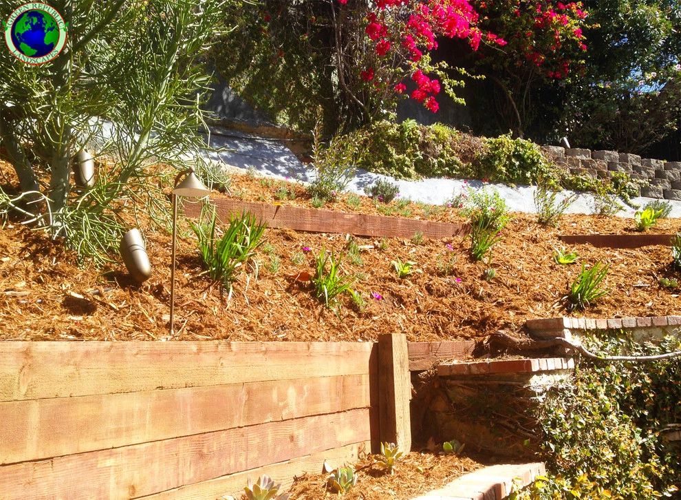 Drought Tolerant-Hillside by Green Republic Landscapes Inc. - Photo 2