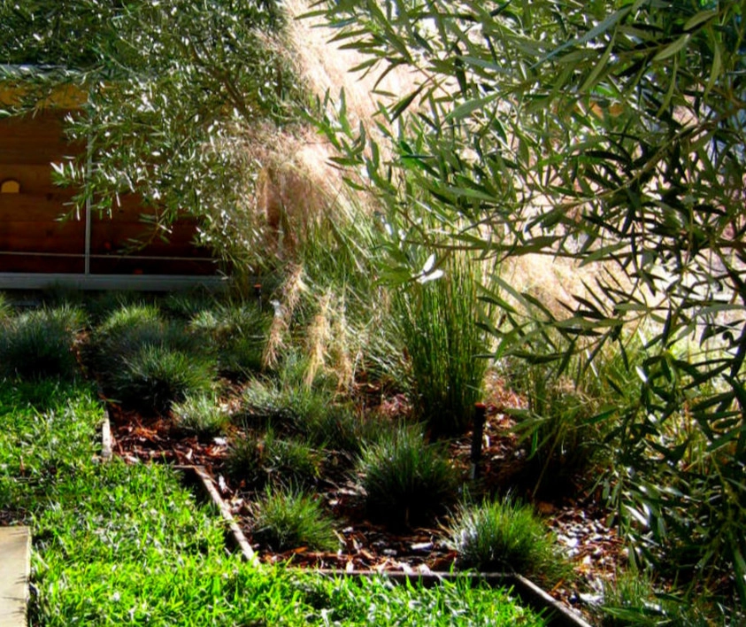 Drought-Friendly Native Style by Green Republic Landscapes Inc. - Photo 4