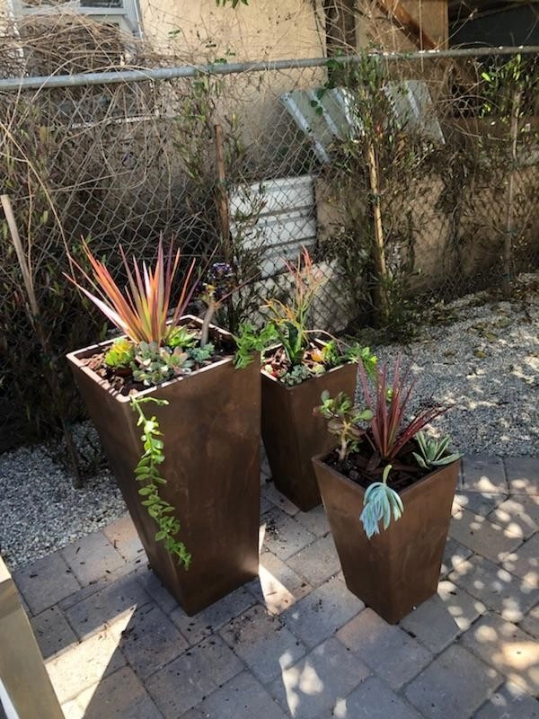 Bozymowski Project by Green Republic Landscapes Inc. - Photo 7