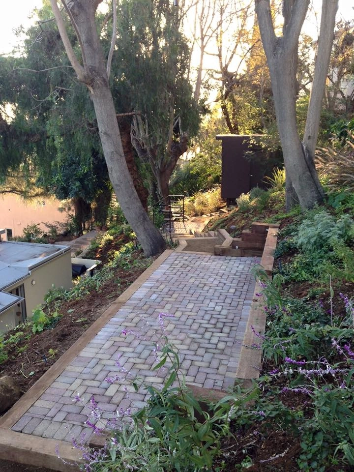 Hillsides, Drought-Friendly by Green Republic Landscapes Inc. - Photo 7