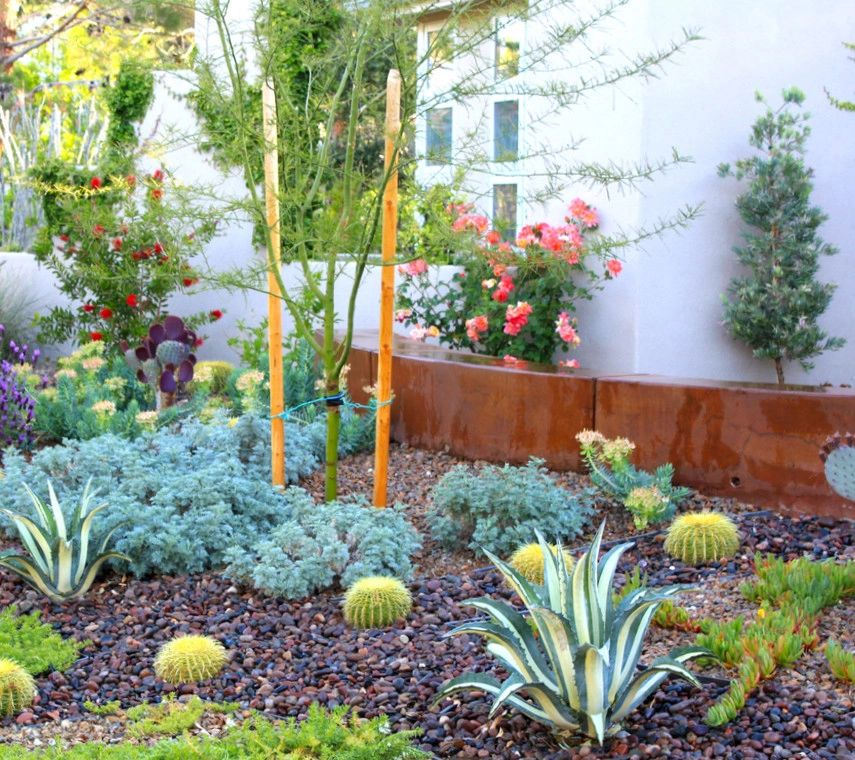 Drought-Friendly Native Style by Green Republic Landscapes Inc. - Photo 5