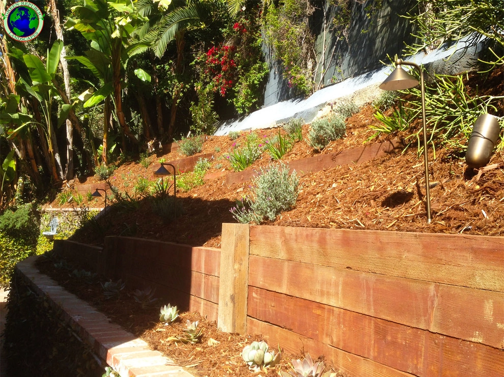 Drought Tolerant-Hillside by Green Republic Landscapes Inc. - Photo 4