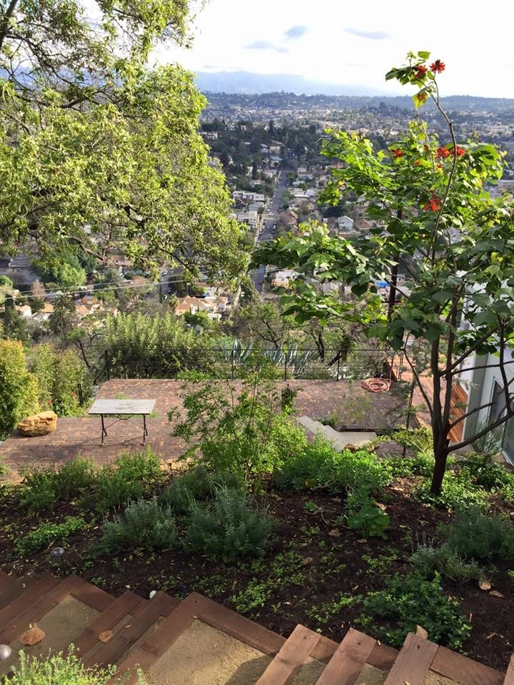 Hillsides, Drought-Friendly by Green Republic Landscapes Inc. - Photo 2