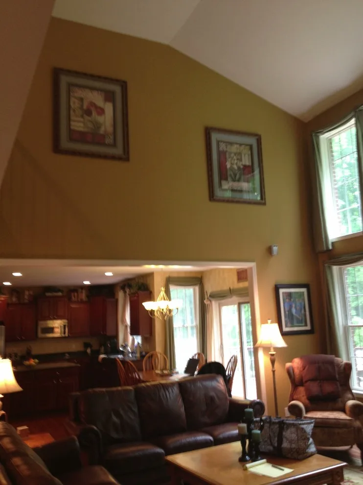 Canton Total Home Makeover by Tanya Rynicke Interiors, LLC - Photo 10