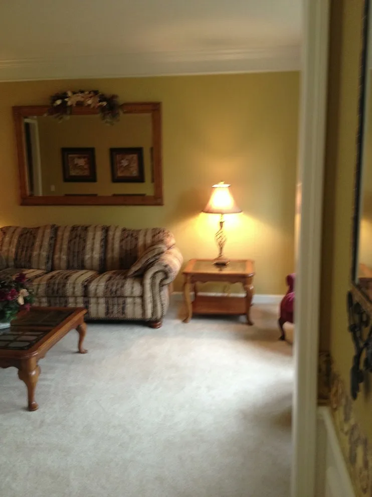 Canton Total Home Makeover by Tanya Rynicke Interiors, LLC - Photo 23