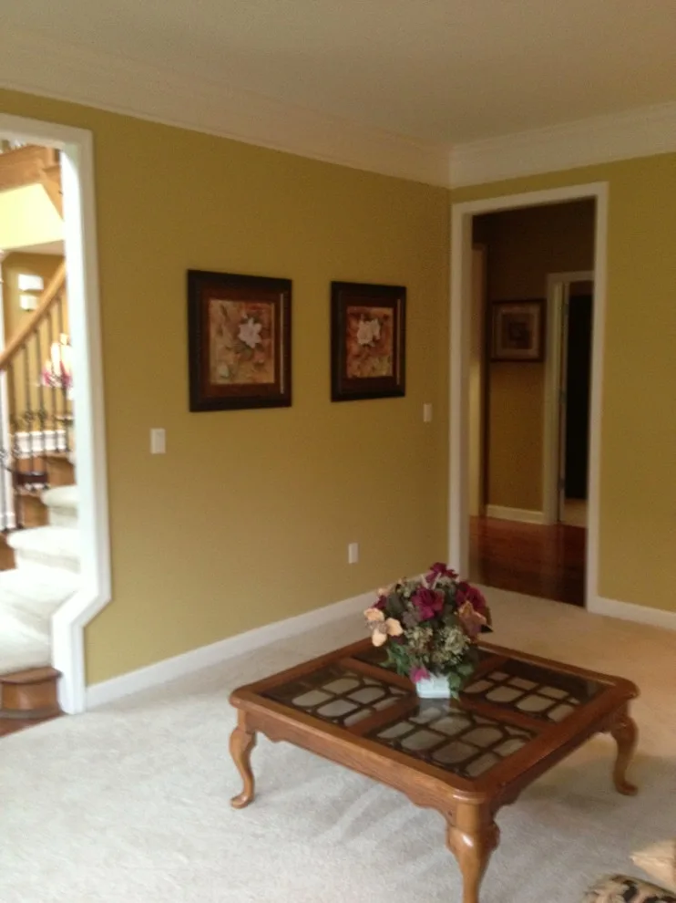 Canton Total Home Makeover by Tanya Rynicke Interiors, LLC - Photo 20