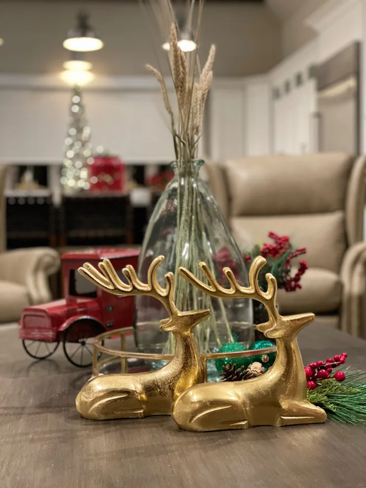Festive Decorations for Living Room and Kitchen by A. Logan Designs, LLC - Photo 4