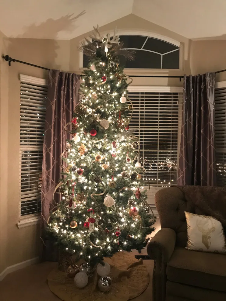 Celebrate the Holidays! by Designing By Faith DBA AMD Creative Ventures, LLC. - Photo 7