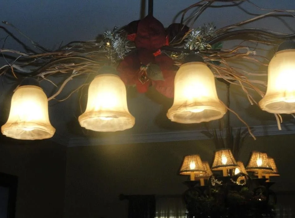 Divine Interiors - Photo 13