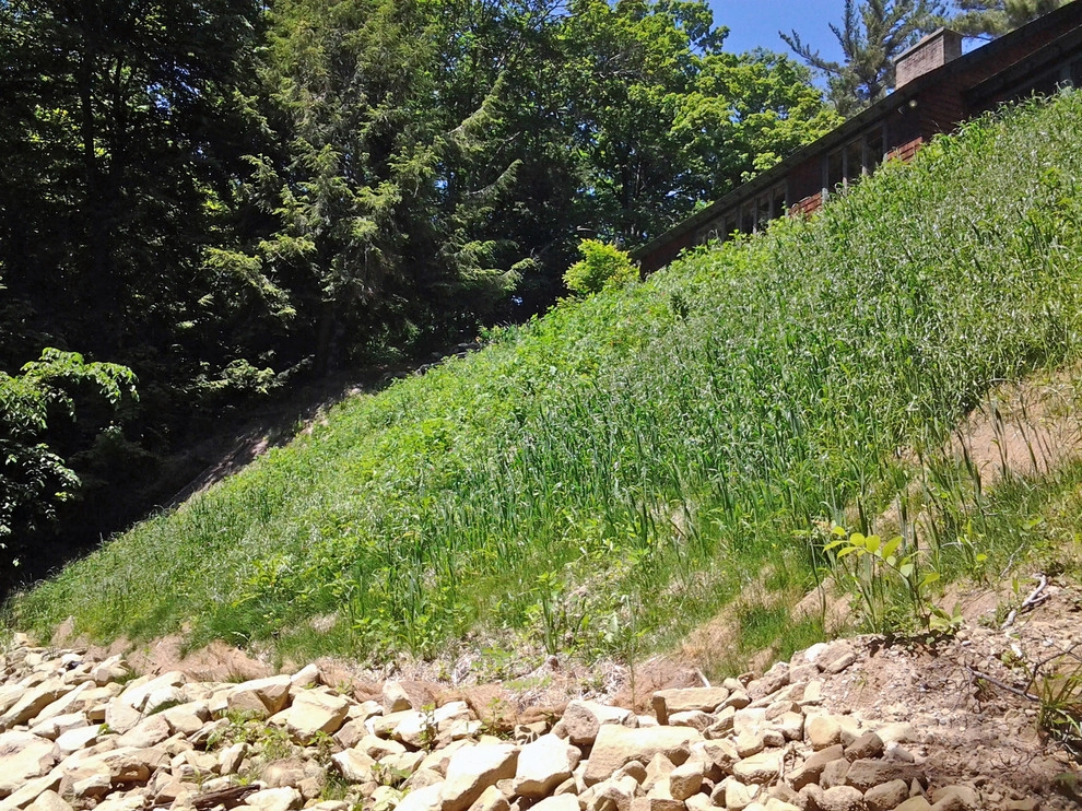 Slope Restoration by LandTechwmi LLC - Photo 2