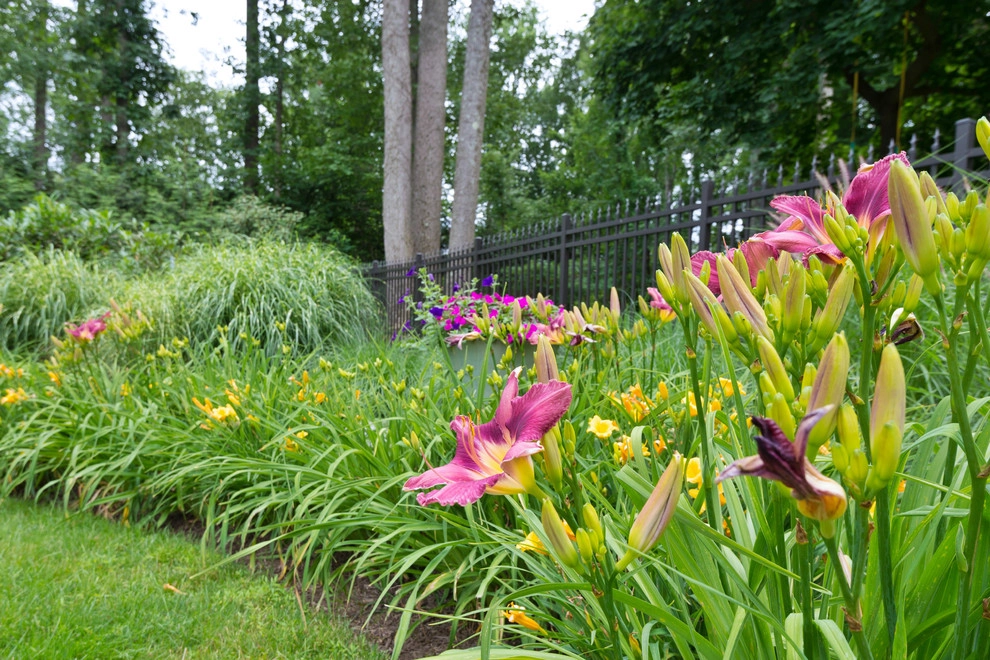 Poolscape and Planters by Britney O'Donnell Garden Design - Photo 5