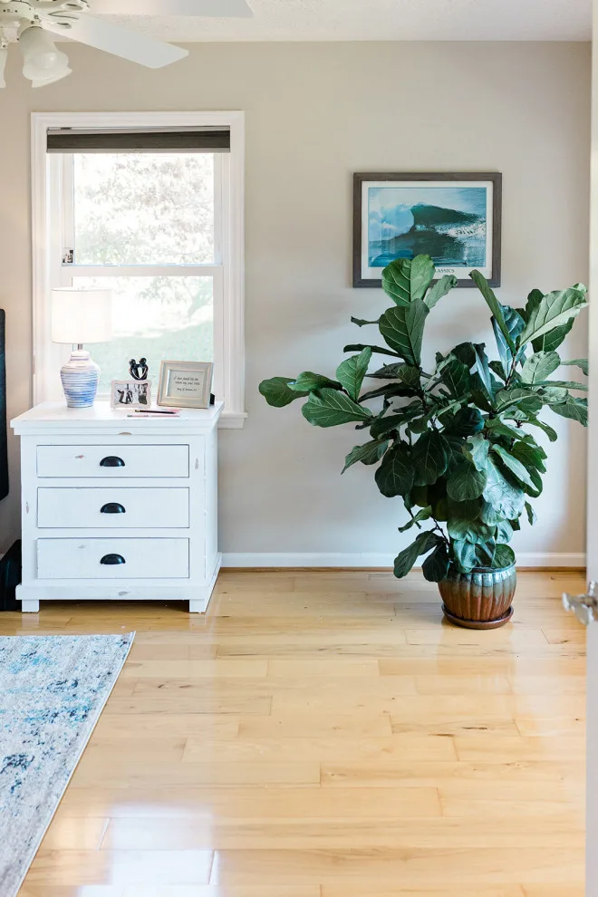 In Focus Interiors - Photo 2
