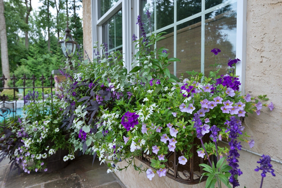 Poolscape and Planters by Britney O'Donnell Garden Design - Photo 6