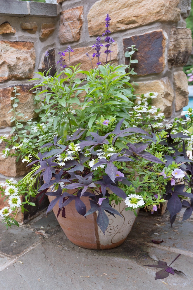 Poolscape and Planters by Britney O'Donnell Garden Design - Photo 31
