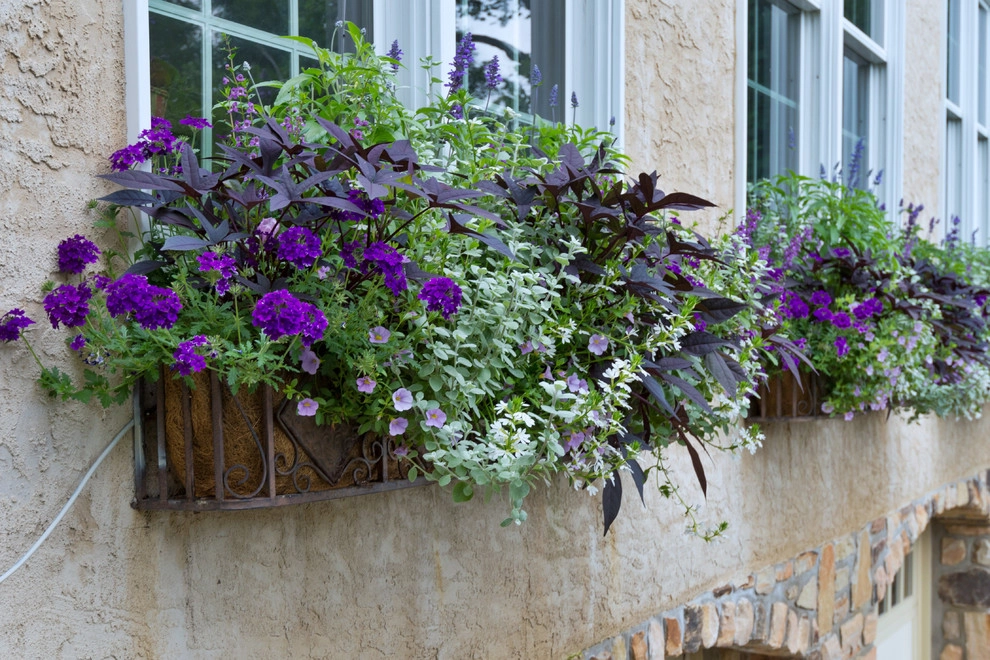 Poolscape and Planters by Britney O'Donnell Garden Design - Photo 19