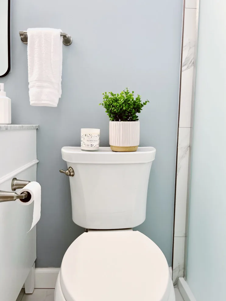 Stylish and Functional Hall Bathroom by DesignFive, LLC - Steve Shorthouse - Photo 3