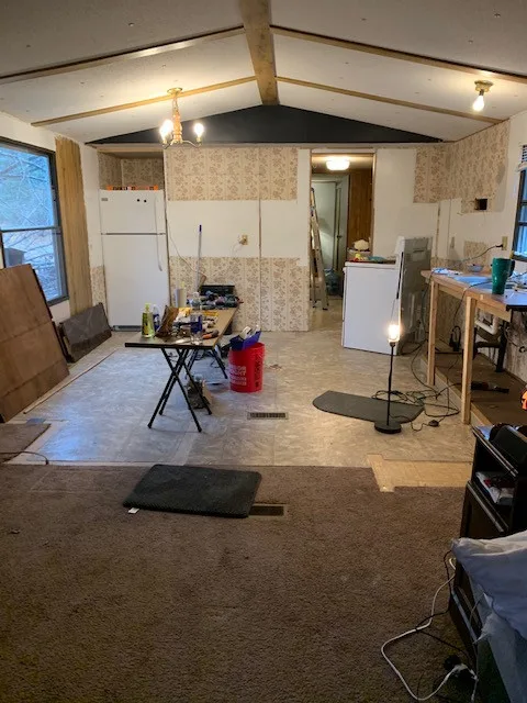 COVID-19 Fun Renovation Project by Teri Meagher - Photo 3