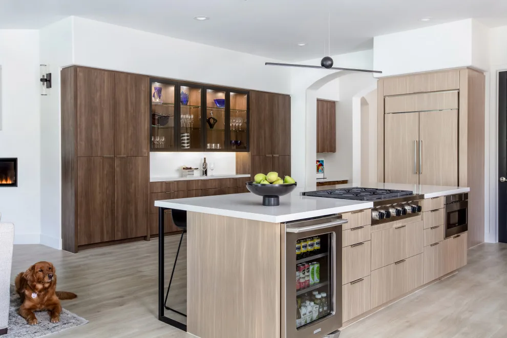 Complete Home Renovation in Encinitas by Wanderlust Home Interiors Inc. - Photo 13