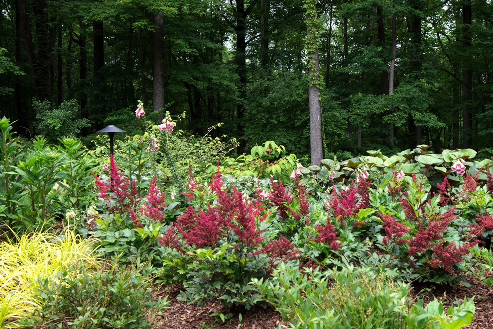Woodland Oasis by Britney O'Donnell Garden Design - Photo 4