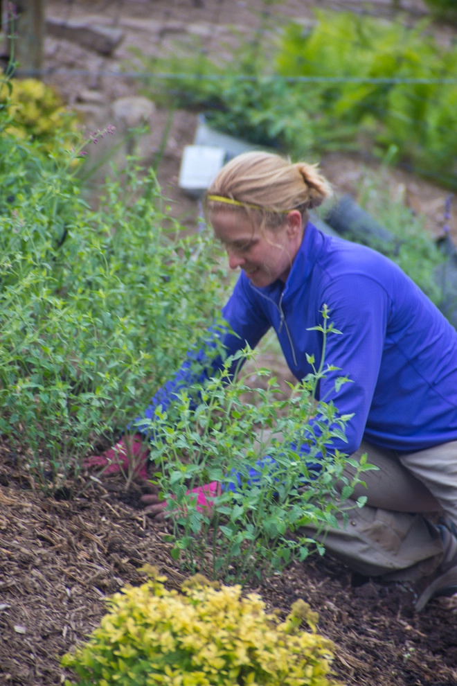 Stone Creek Farm by Britney O'Donnell Garden Design - Photo 10