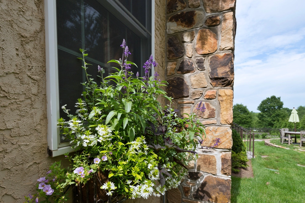 Poolscape and Planters by Britney O'Donnell Garden Design - Photo 21