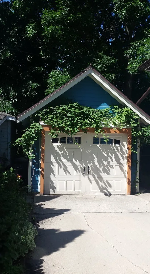 Outdoor Initiatives by Laurie Lundgren COLOR & DESIGN - Photo 49