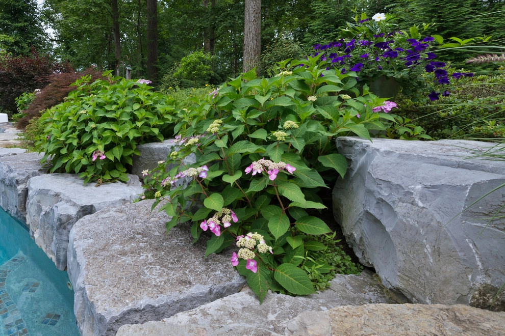 Poolscape and Planters by Britney O'Donnell Garden Design - Photo 20