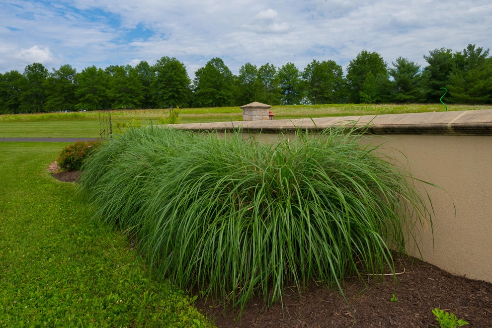 Provincial Pool by Britney O'Donnell Garden Design - Photo 22