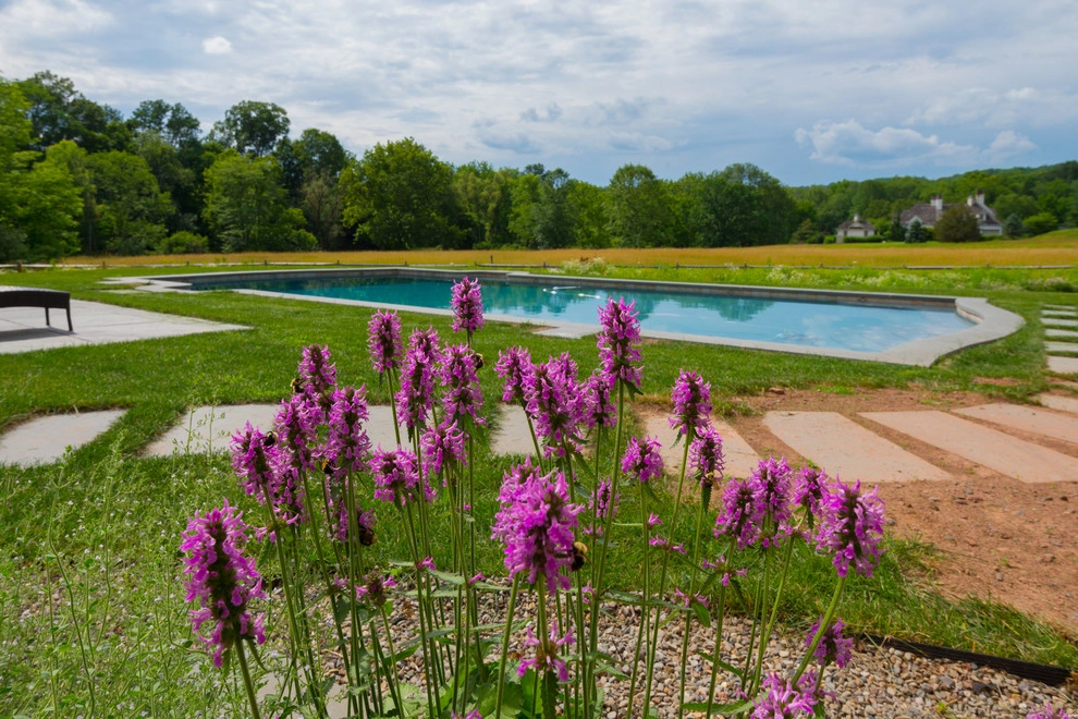 Provincial Pool by Britney O'Donnell Garden Design - Photo 14