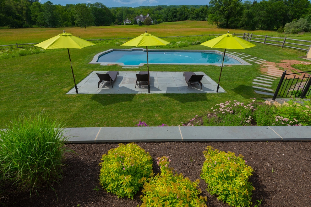 Provincial Pool by Britney O'Donnell Garden Design - Photo 11
