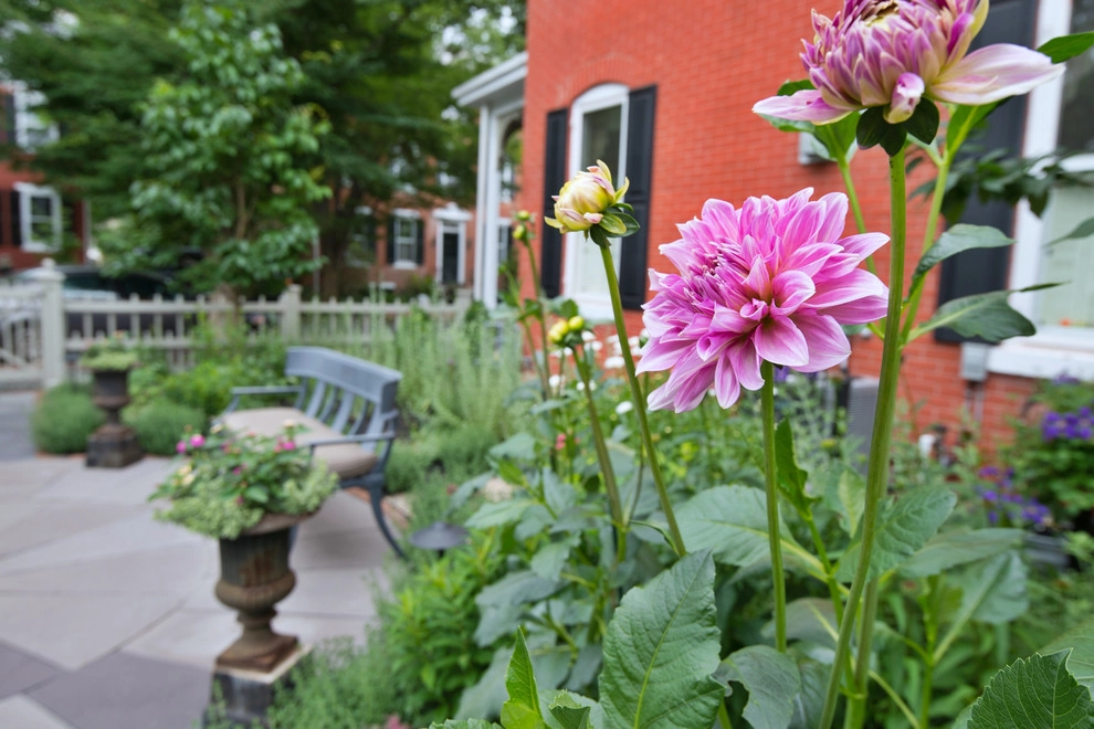 Lambertville Garden by Britney O'Donnell Garden Design - Photo 17