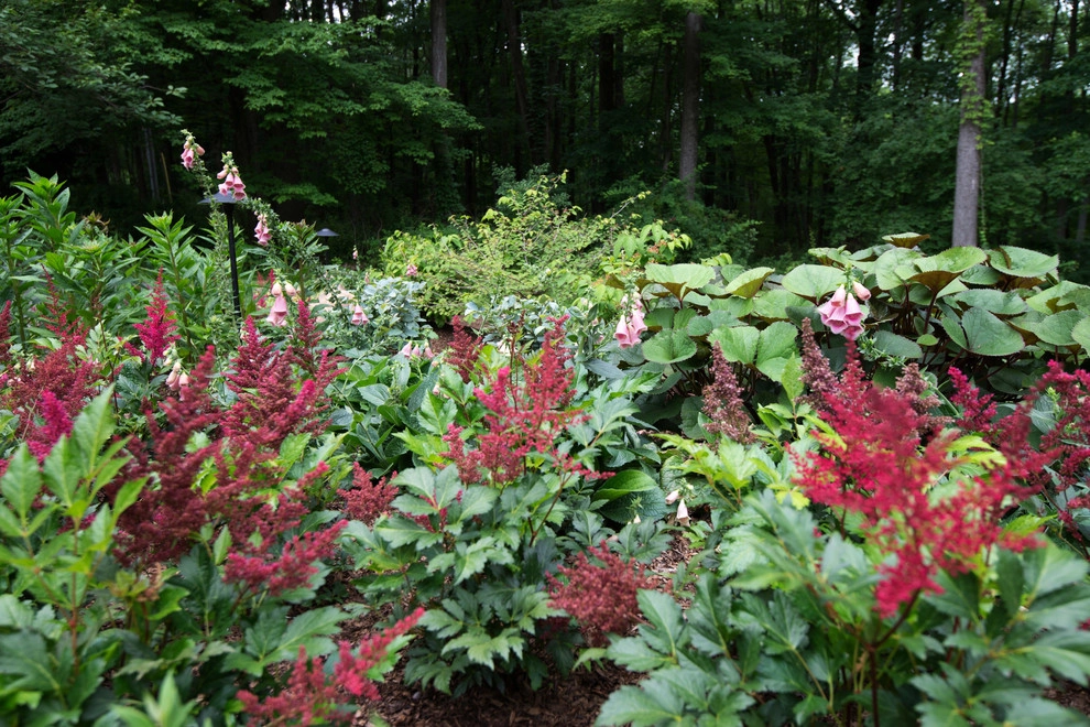 Woodland Oasis by Britney O'Donnell Garden Design - Photo 18