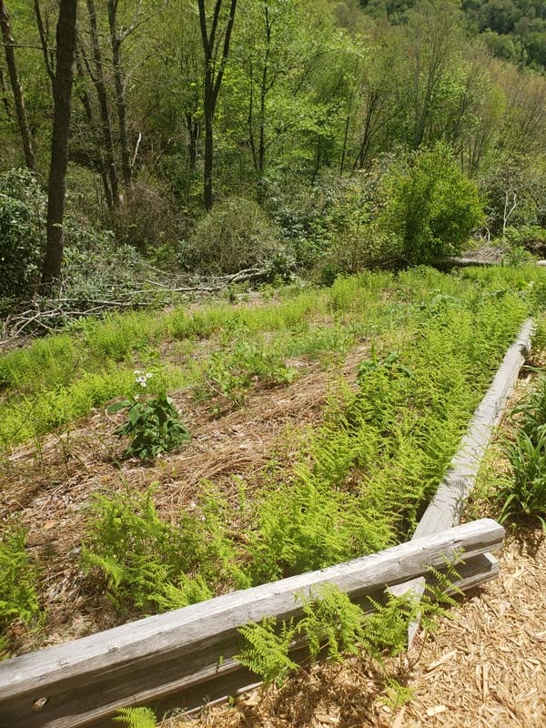 Landslide from Water & Soil Erosion Backyard Transformation by Greenscapes Landscaping & Retaining Walls - Photo 8