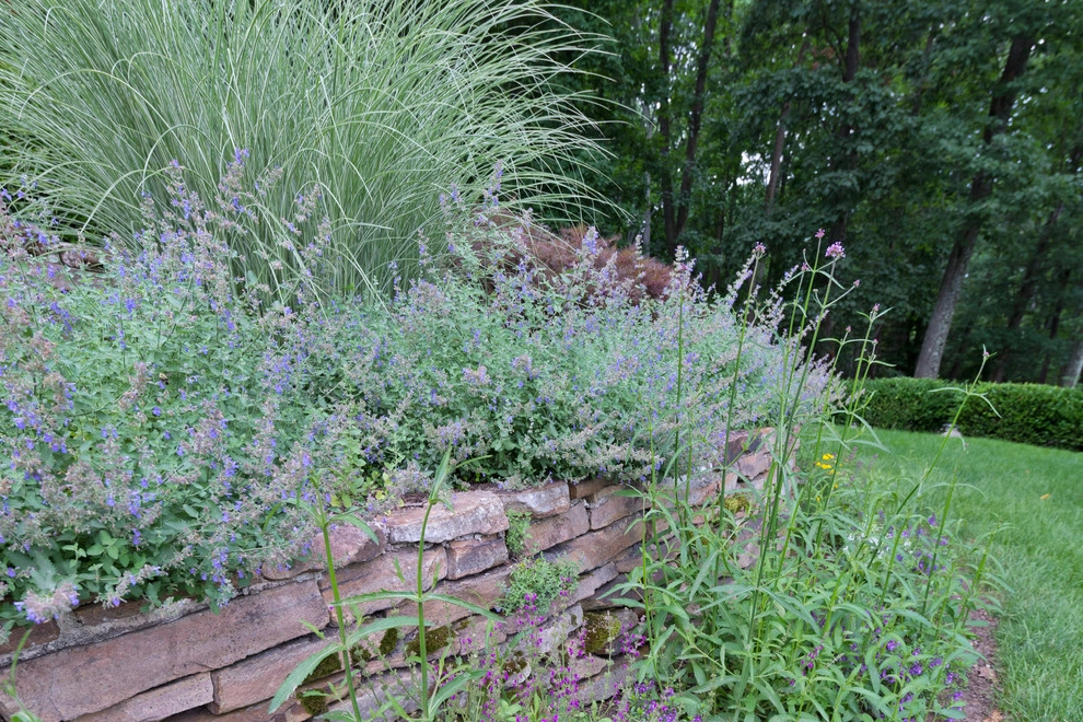 Poolscape and Planters by Britney O'Donnell Garden Design - Photo 26