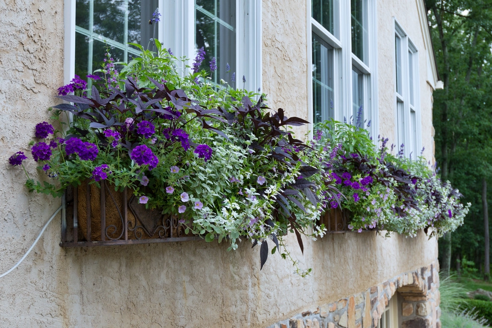 Poolscape and Planters by Britney O'Donnell Garden Design - Photo 13