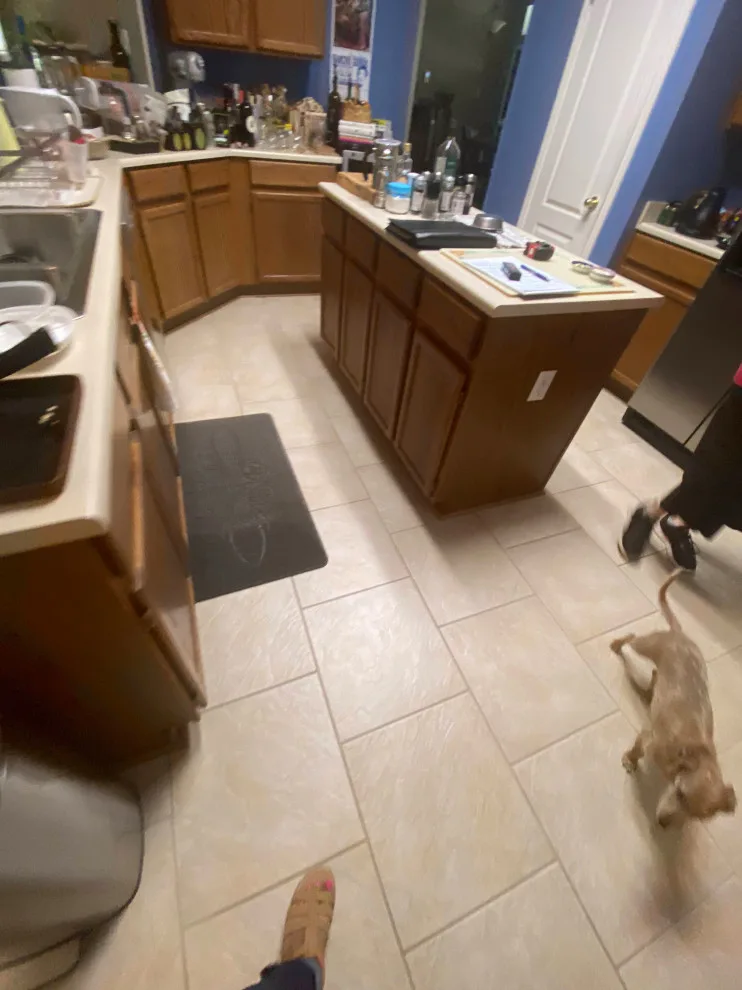 Kitchen Transformation: From Ordinary to Extraordinary by Jana Ward Interiors - Photo 9