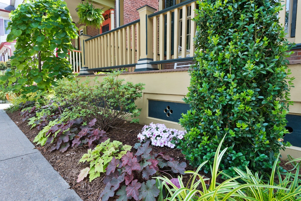 Backyard Retreat by Britney O'Donnell Garden Design - Photo 2